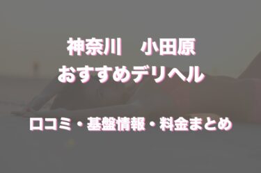 秦野にキッチンカー大集合！ 親子で食や演奏楽しめるイベント | カナロコ by