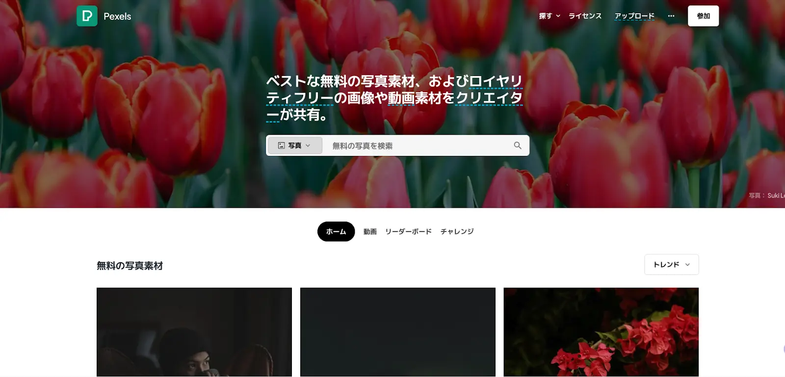 PIP-Makerで作成！動画サンプルと活用効果PIP-Maker