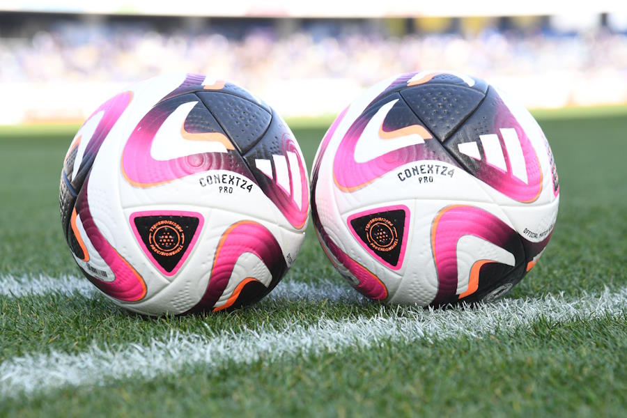 卒業生便り もじゃおの場合里親募集型保護猫カフェ CAT'S INN TOKYO-キャッツイン東京