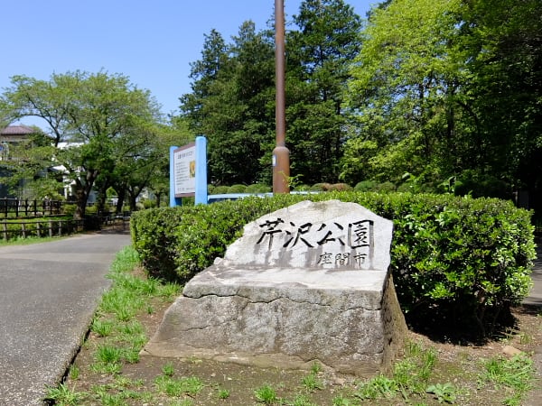 座間市芹沢公園と谷戸山公園へ20220408 : 三浦畑山人