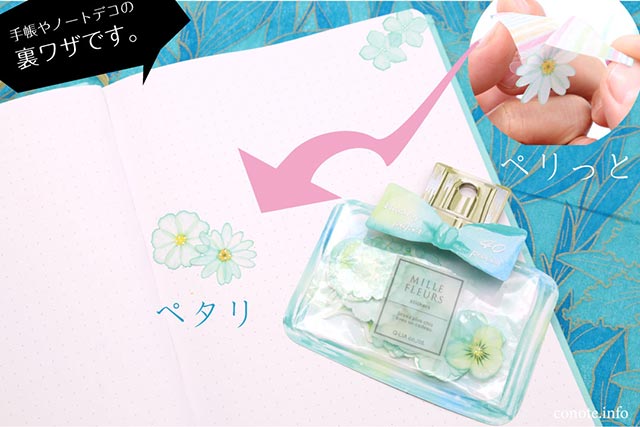 絶対守りたいiPhoneの背面カメラ！保護レンズの剥がし方についての紹介トリニティ