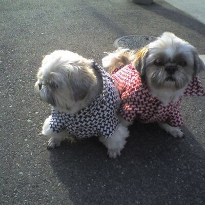 フランコ・ウンチーニ タグの記事一覧ITATWAGPイタたわGP