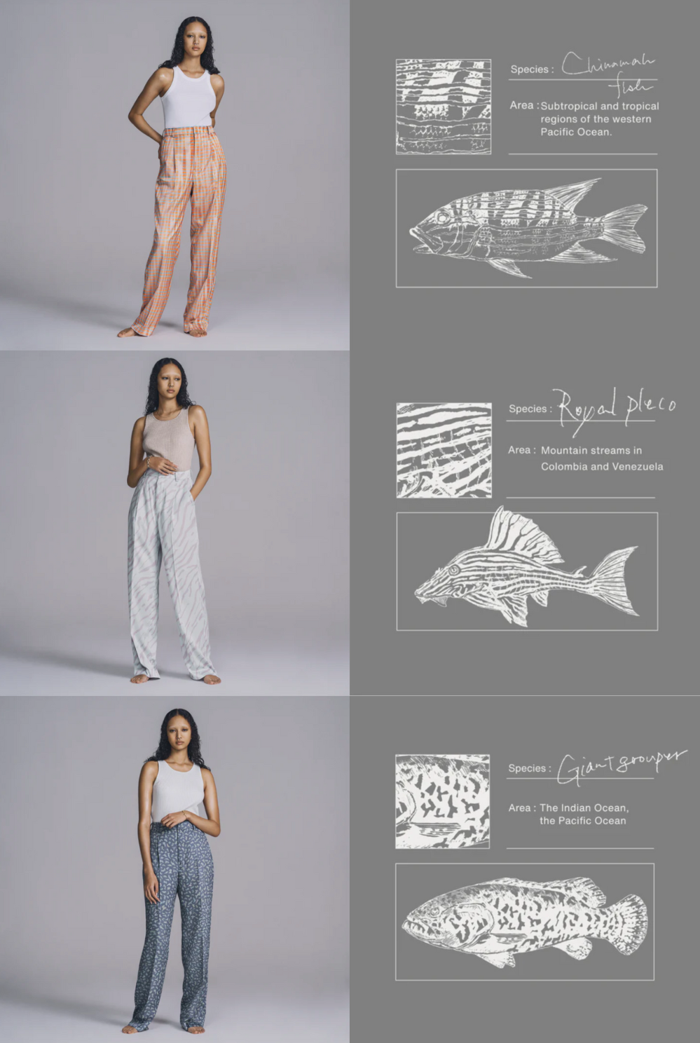 お宝 ？ がこんなに届きました！！！Part 1、Bronze Age !!!!HSSS ＦＲＥＥのブログで～す