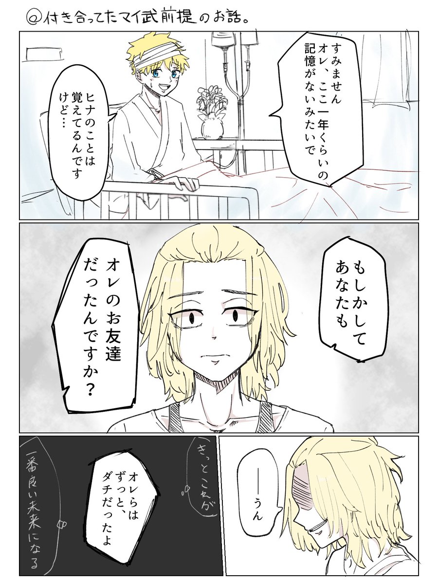 東京リベンジャーズ 同人誌 マイ武 サン武 イヌ武 ココ武 ドラ武 佐野万次郎