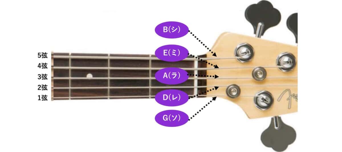 公式 サクラ楽器 WEB本店ギター初心者のためのチューニング方法
