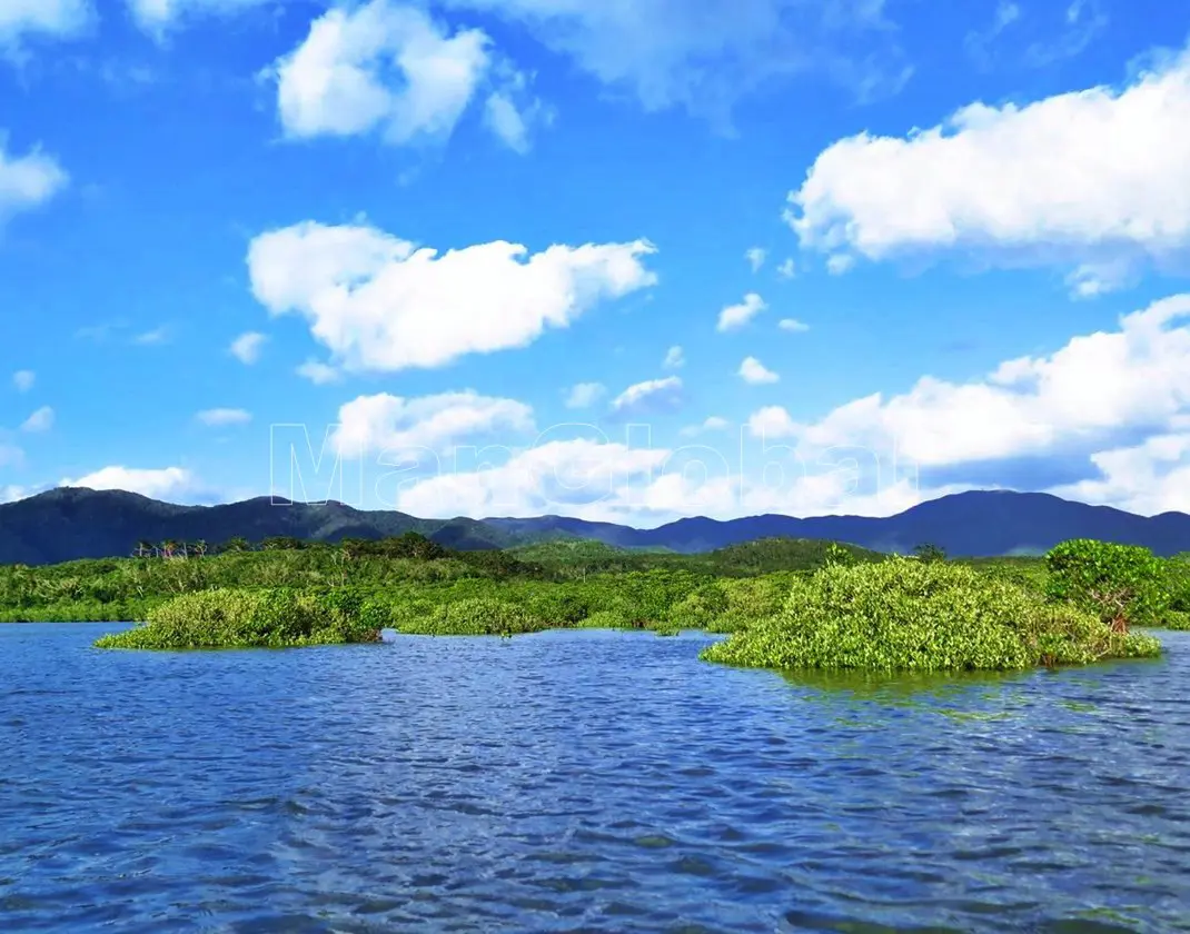 名蔵アンパル石垣島の観光ガイド 石垣島ねっと