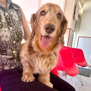 らすたひたすら - 楽天ブログ