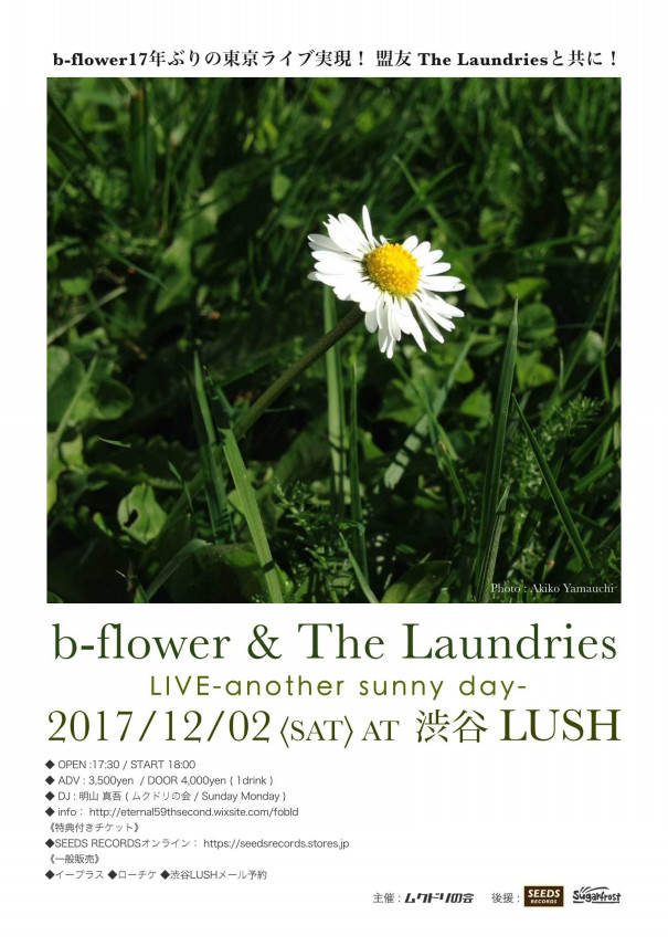 アーティストのフライヤー チラシ ・効果的なテンプレと配布方法beckeblog