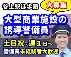 東京都の交通誘導 駐車場 スーパー 警備 の求人50 件Indeedインディード