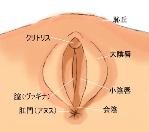 新発見】アナニーでトコロテンするやり方や注意点20選！アナルだけで射精する快感の扉を開け！ | Trip-Partner[トリップパートナー]