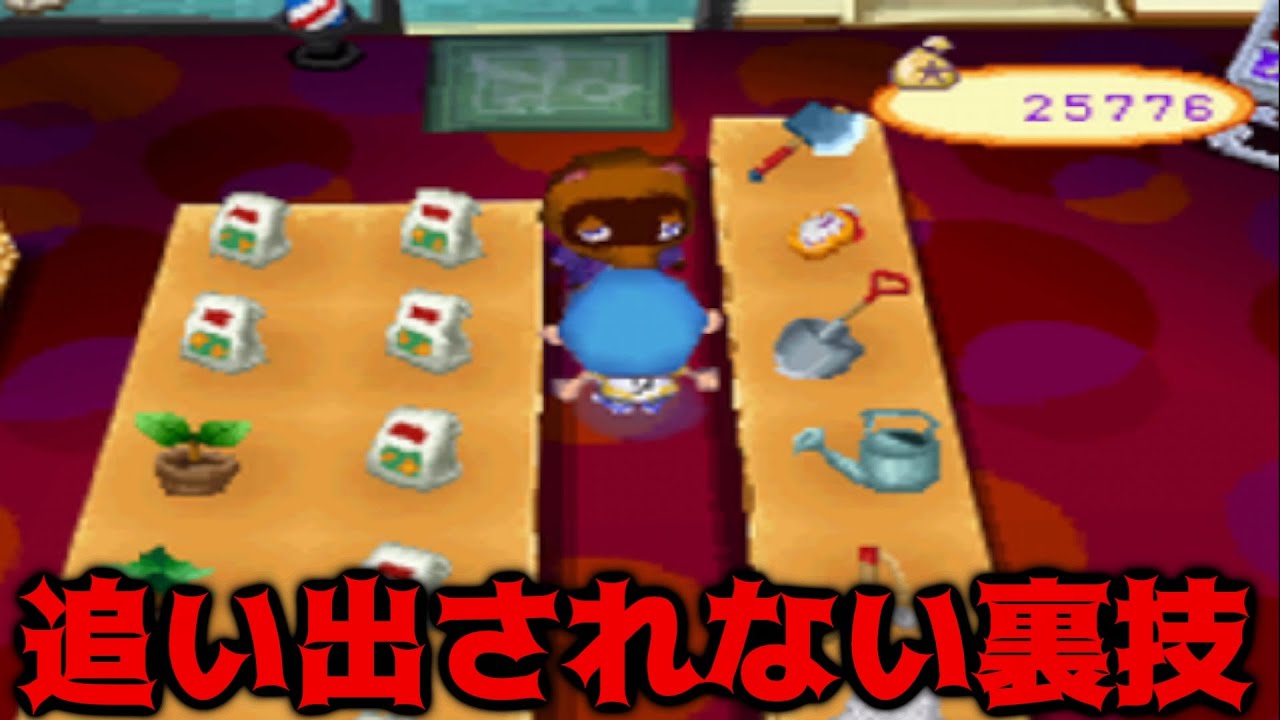 まめつぶデパート 村の施設攻略・裏技なら「とび森.com とびだせどうぶつの森.com 」