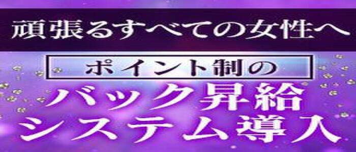 ミセス東京 | 在籍コンパニオン