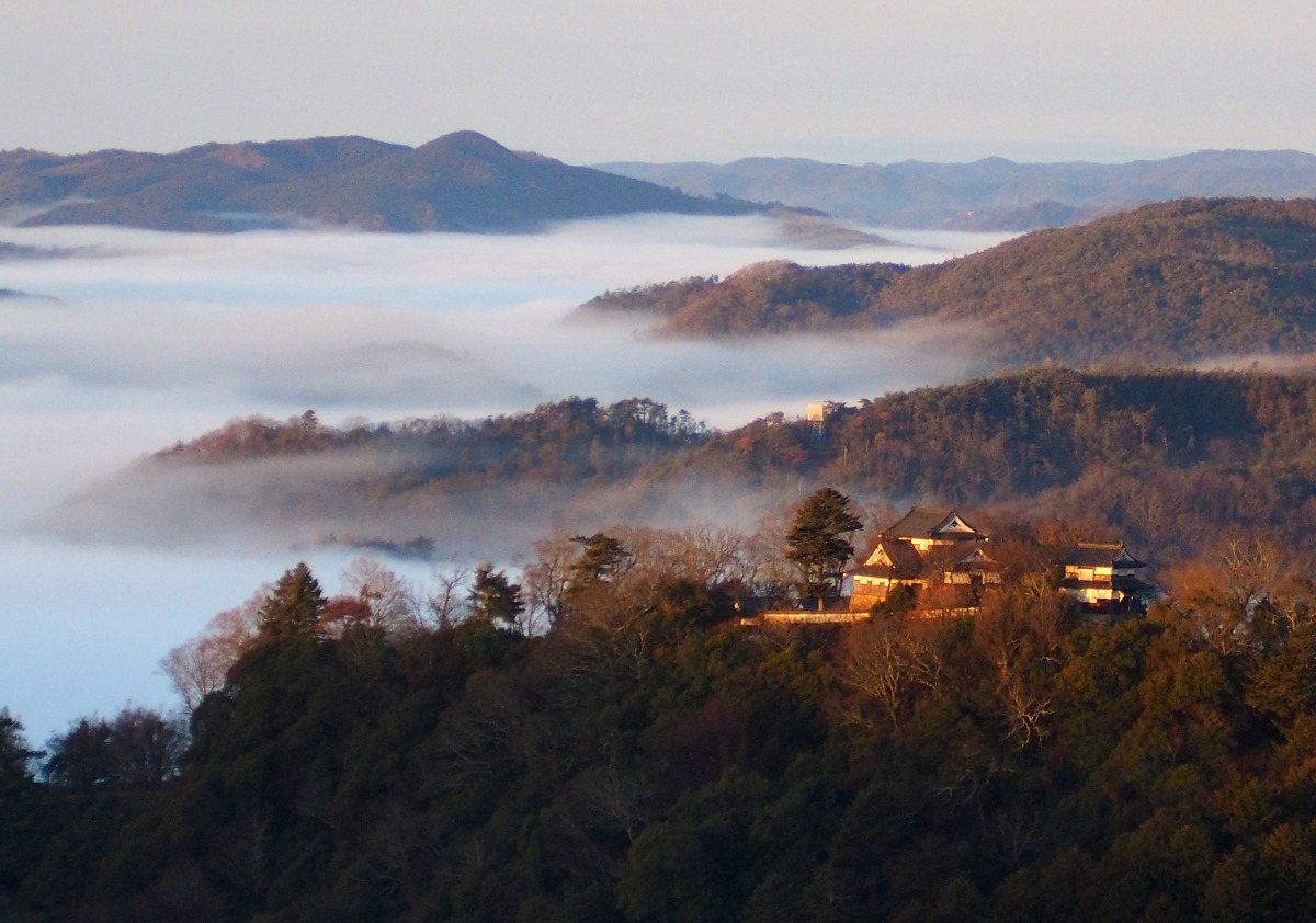 Amazon.co.jp: 日本塩ソムリエ協会 マチュピチュ インカ天空塩 250g : 食品・飲料・お酒