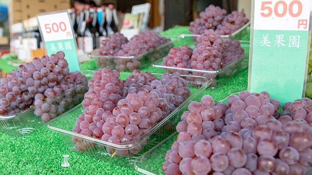 真也お前は本当に血も涙も無いな大好きだぞ：バチェラージャパンシーズン３EP７視聴後印象メモニッチモ・サッチモ