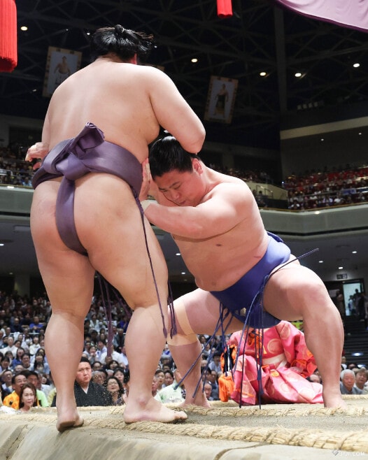 大相撲名古屋場所千秋楽で、琴桜を寄り切りで下した大の里 - スポニチ Sponichi Annex スポーツ