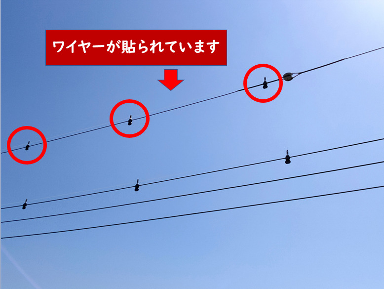 鳥害による電線への防鳥対策工事を北海道電力へ依頼得北
