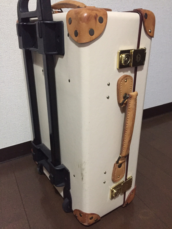 My Globe-Trotterウィリアム・ダルリンプルジャーナルグローブ・トロッター Globe-Trotter