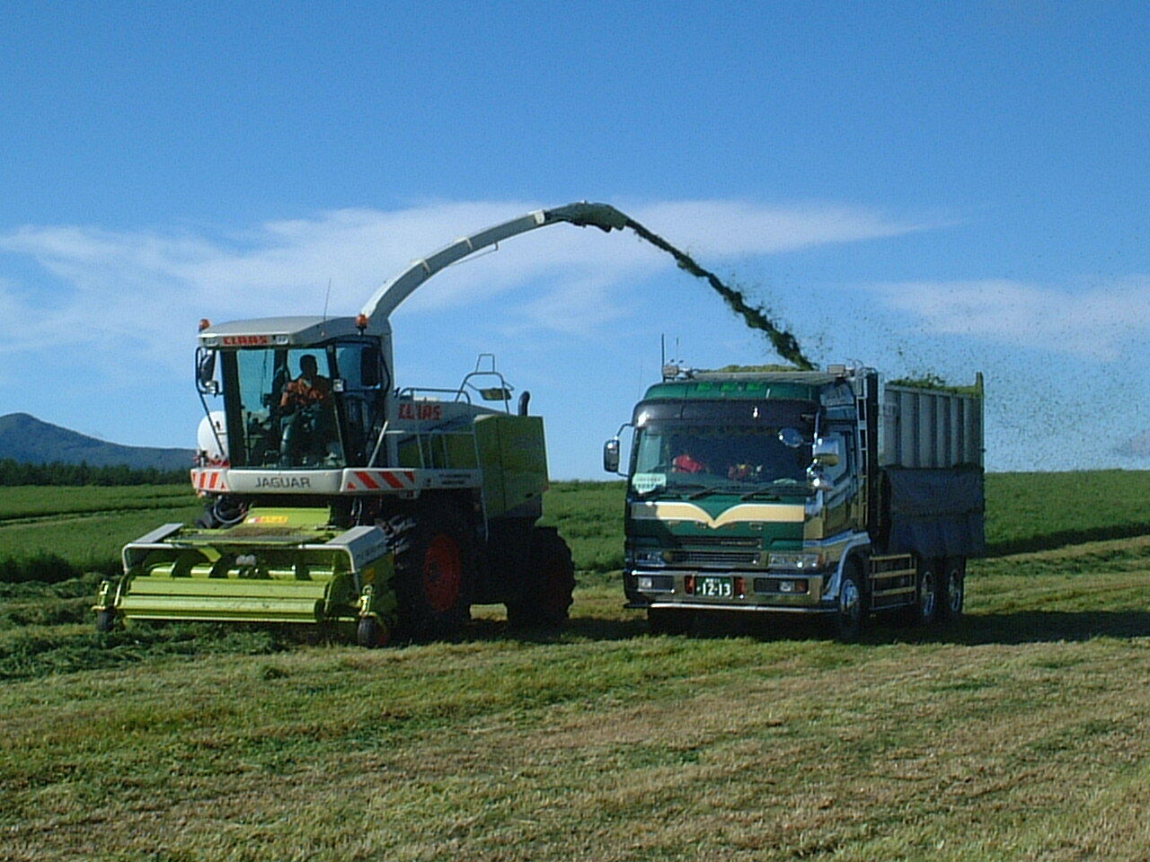 2,600点を超える畜産 日本のイラスト素材、ロイヤリティフリーのベクター素材グラフィックスとクリップアート - iStock農業, 野菜, 農家日本人