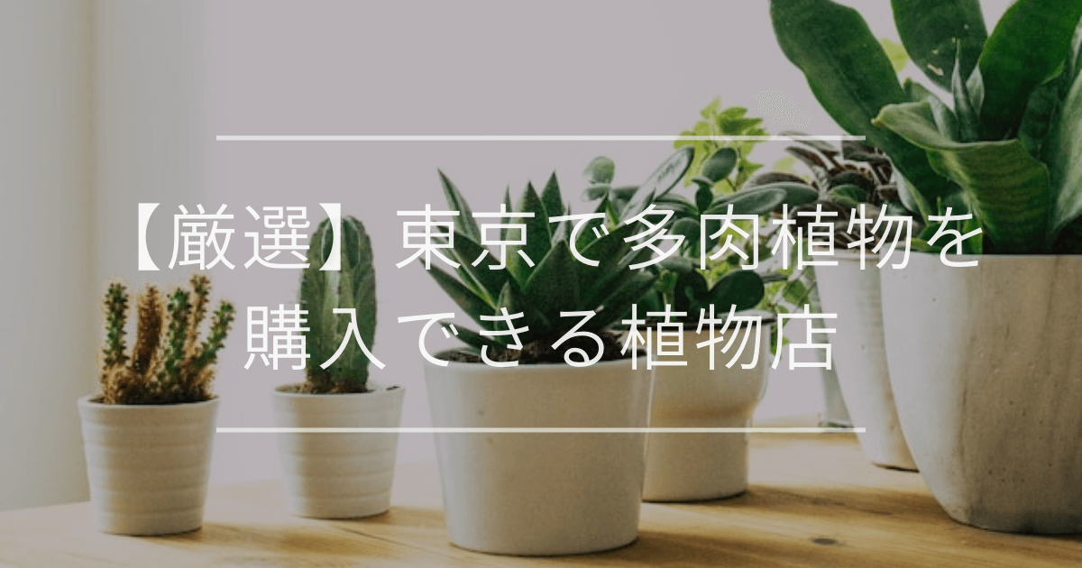 株式会社シティ・スタジオの求人情報 - 東京都渋谷区求人飲食店ドットコム