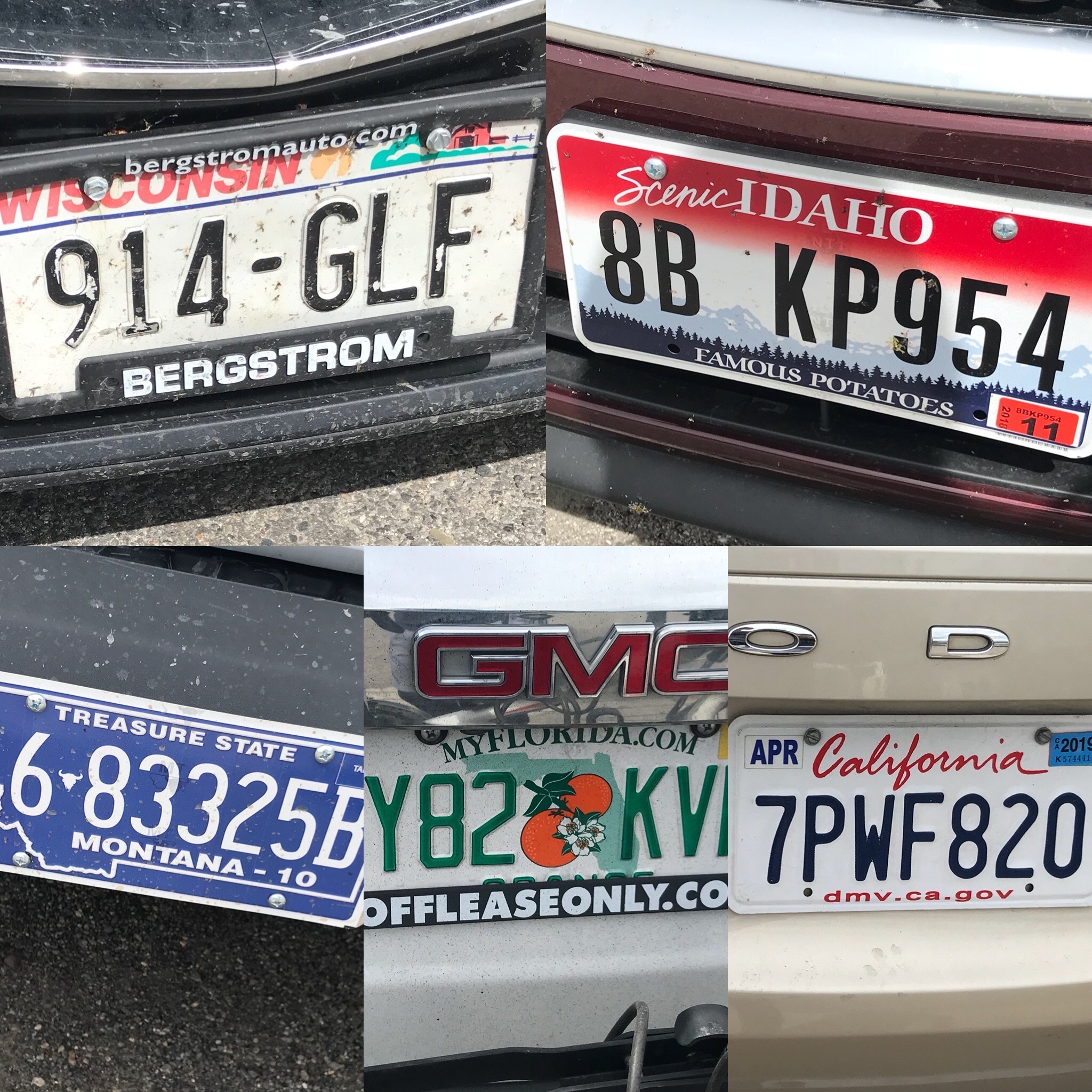 Yahoo!オークション - アメリカ 米国 全50州 ナンバープレート 50枚セ