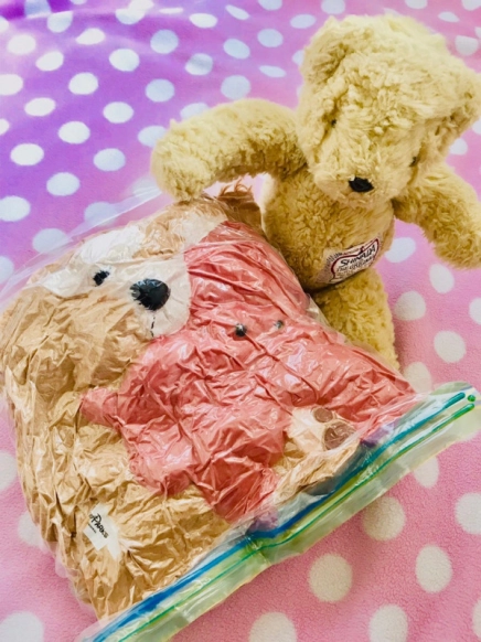 布団圧縮袋はダイソーで十分!数多くの圧縮袋を使って来た僕が出した結論自分の人生を生きろ