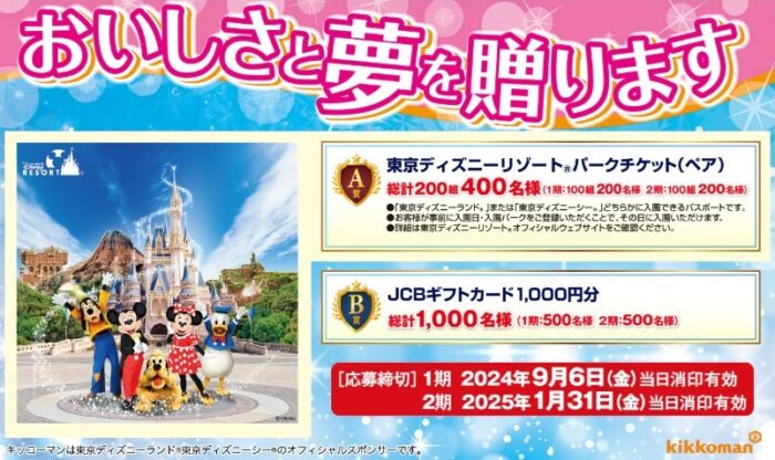 ディズニーチケット パークチケット の公式サイト・アプリでの支払い方法 PayPayも利用可能-クレジットカード＆電子マネー＆QRコード決済情報 現金いらず