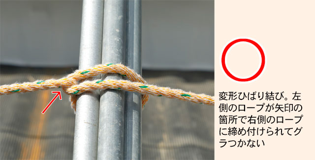 ２本のロープを連結させたい！「テグス結び」の結び方 実用的ロープワークvol.７CAMP HACK キャンプハック