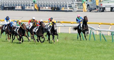 JRA 内ラチ衝突のグレートキャンベラは左前肢挫創、川田将雅騎手は異状なし競馬ニュース - netkeiba
