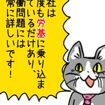 神奈川144 多頭飼育崩壊レスキューに参加 神奈川135: 三度の飯＜犬と猫