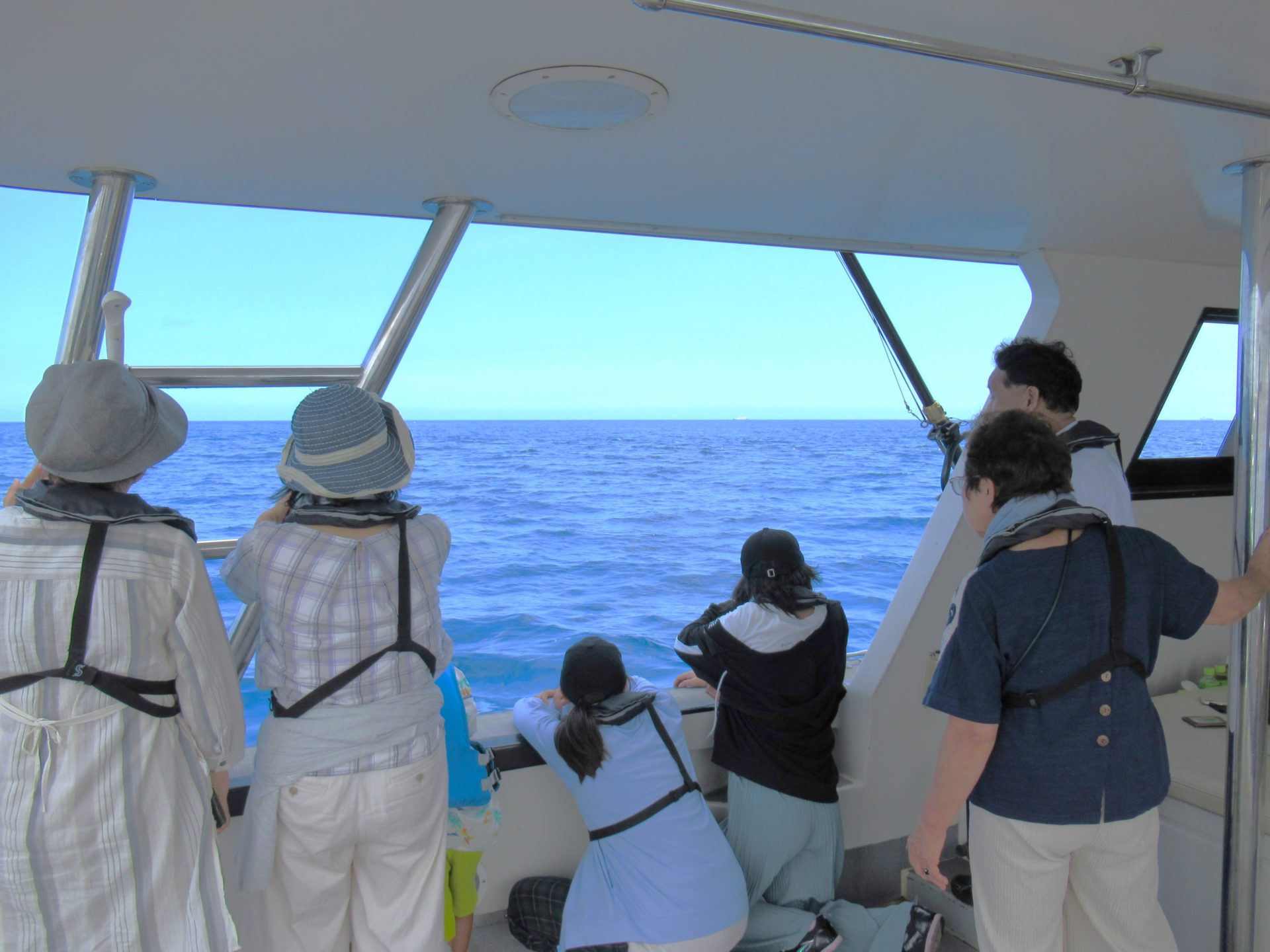 ハウスボートクラブ：5,000件以上の海洋散骨をお手伝いする多様な葬送やお別れをプロデュースする終活支援会社