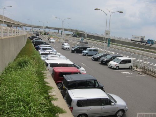境内での大仏蛍が有名ですが、最近は東大寺近くの奈良公園内小川でも沢山の蛍が舞っております。 奈良公園蛍