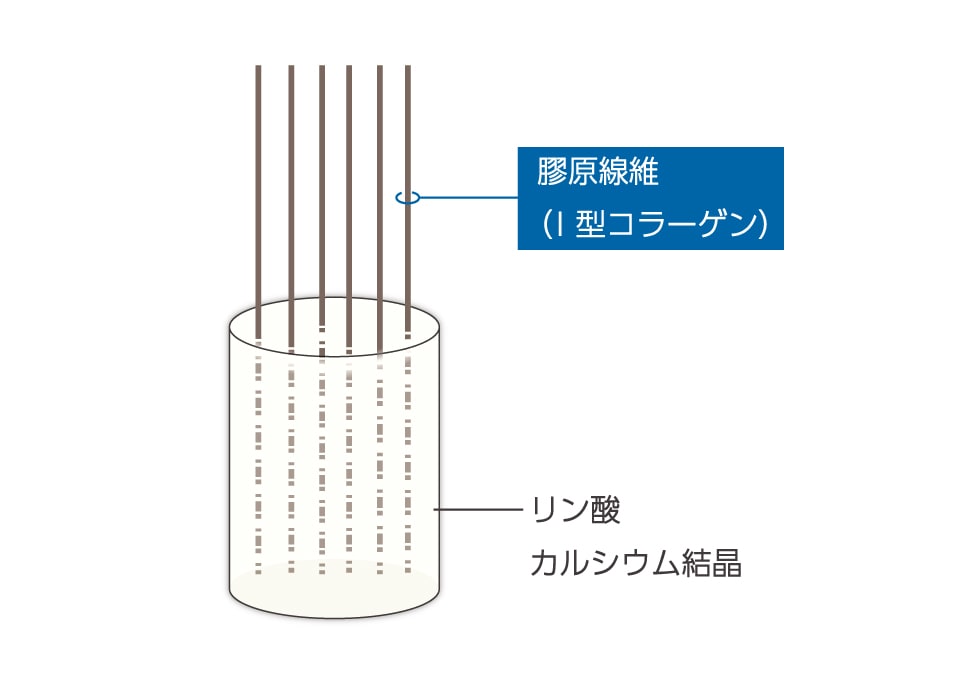 fufufu☺︎ ￤ PTのまとめノート保存数1000件以上！！ 過去の人気投稿まとめ*.+ﾟ ✓ PT・OT学生 ✓ 国試対策 ✓解剖がちょっと苦手な人へ ⠀ 保存しておくと、テスト前にもすぐ見返せるよ📩 ⠀ ❁⃘ ✎𓈒𓂂𓏸fufufu☺︎ 2年目PT