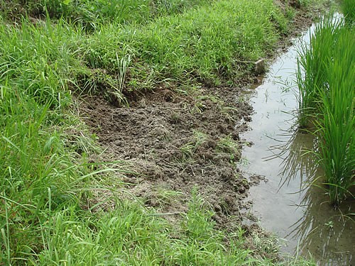 深夜徘徊する少年 補導のため警察官が追いかけようとしたら ？ 実話2025年10月8日- エキサイトニュース