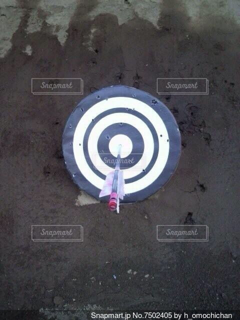 まさかのセンステど真ん中最前当たった😭😭😭 絶対Cinema 号泣🐰🐶 @Stray KidsdominatestraykTikTok