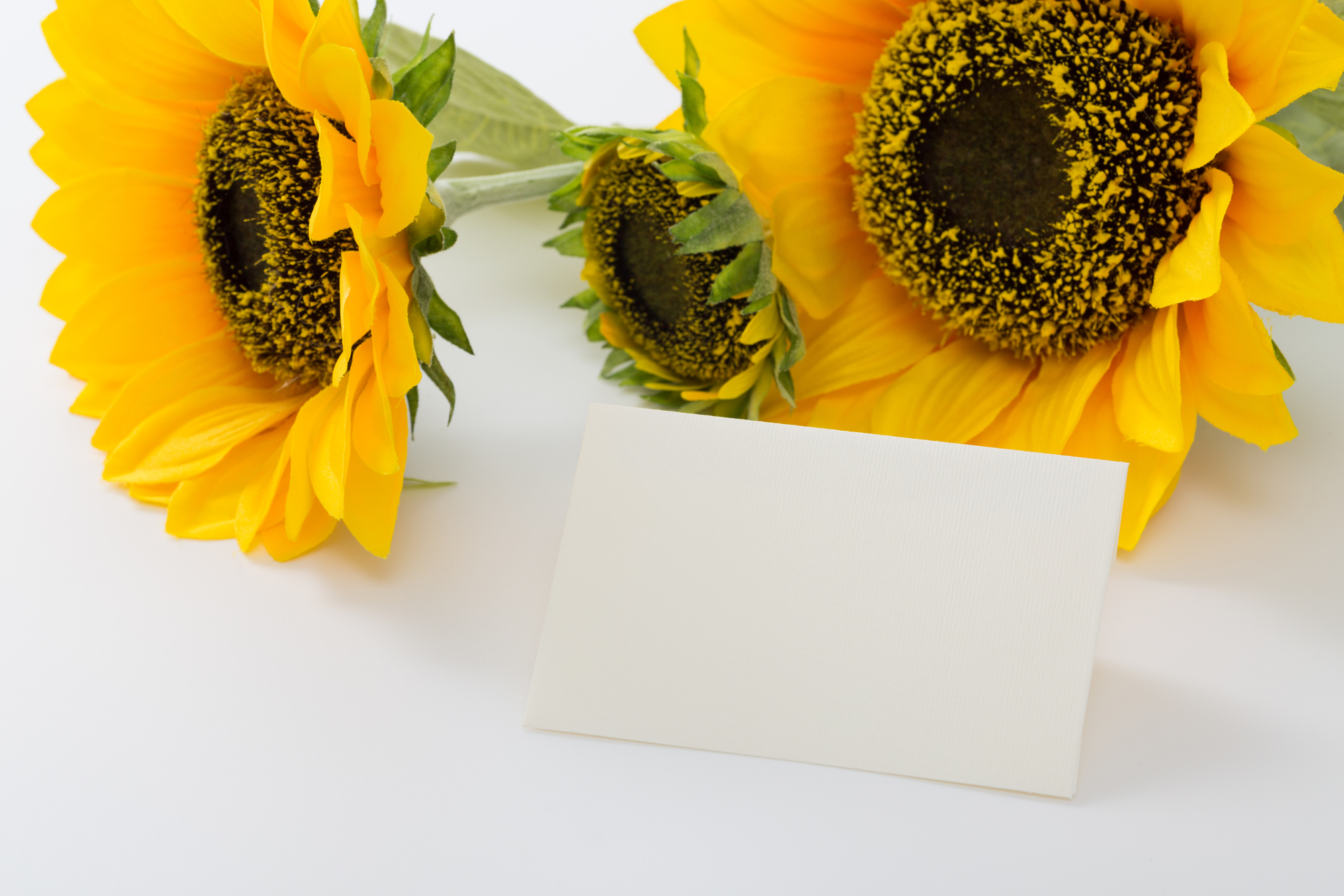 1合米 お年賀定番柄 お米ノベルティ 年始 粗品 プレゼント