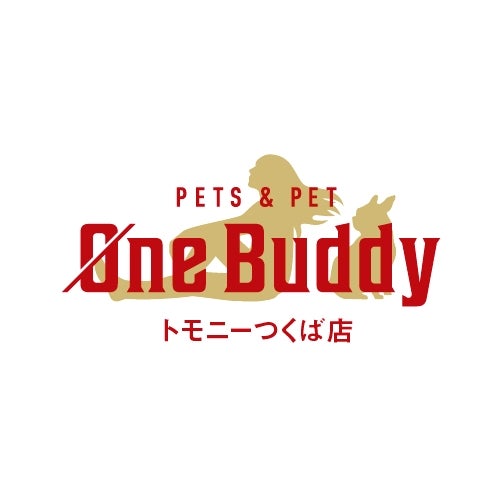 完全国産・獣医師オススメの愛犬の安心ごはん【Buddy FOOD バディフード】 3種セットC（牛豚鯖）