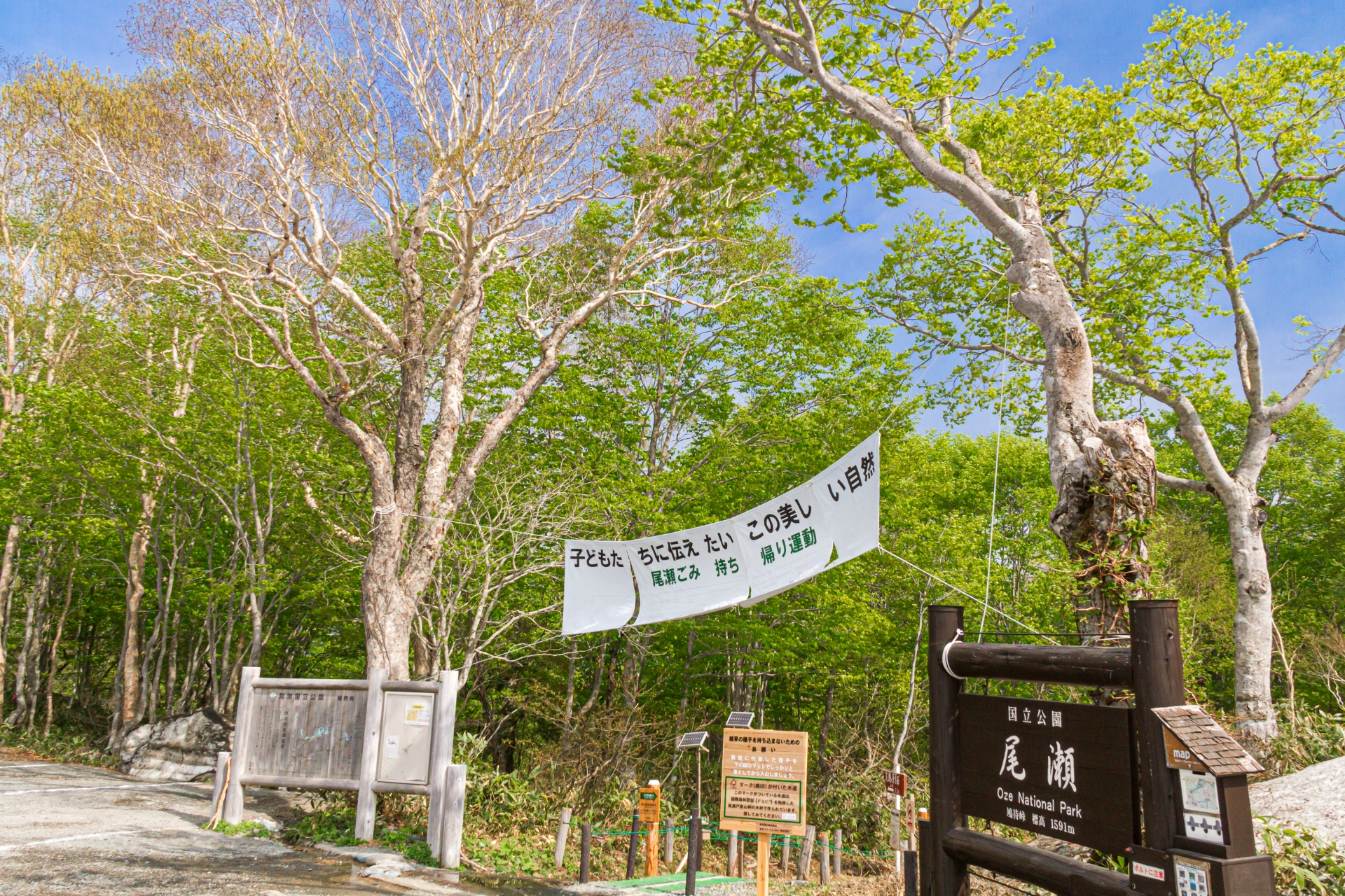 世界経済の中心「金融街」! ウォールストリートの観光のしかたHow to ENJOY NYC