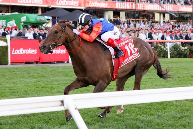 まさかの内ラチぴったりを駆け抜けてバカラクイーン3着 アイビスサマーダッシュ2021- YouTube