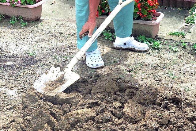 整地をDIYでやりたい！キレイなお庭作りは地面作りから始めよう生活110番