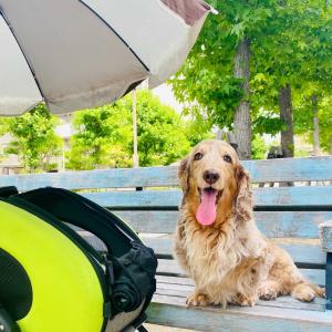 らすたひたすら - 楽天ブログ