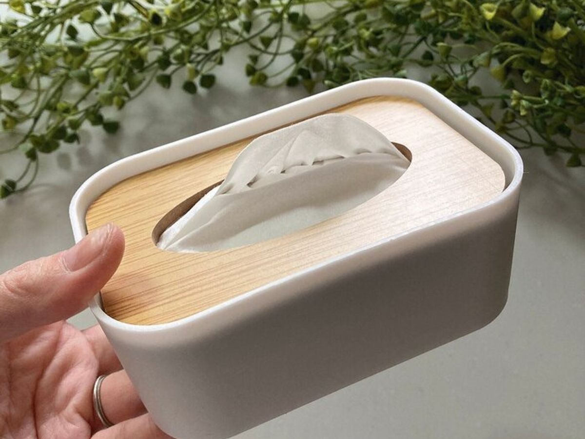 節約 100円で作るポケットティッシュケースがっちゃんの美整生活