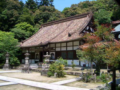 凧山つばきの森 . 雲興寺のすぐ近くにあります。 このシーズンは紫陽花が綺麗に咲いています！東海自然歩道で散策される方も多くいらっしゃいますよ⛰️🏃 2024.06.16撮影瀬戸市いいもんせともん瀬戸観光愛知観光アジサイ紫陽花あじさい紫陽花スポット