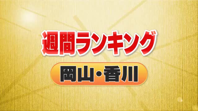 山陽新聞岡山住宅展示場 | 明けましておめでとうございます✨🐰✨