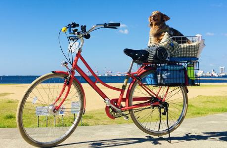 自分事らすたひたすら - 楽天ブログ