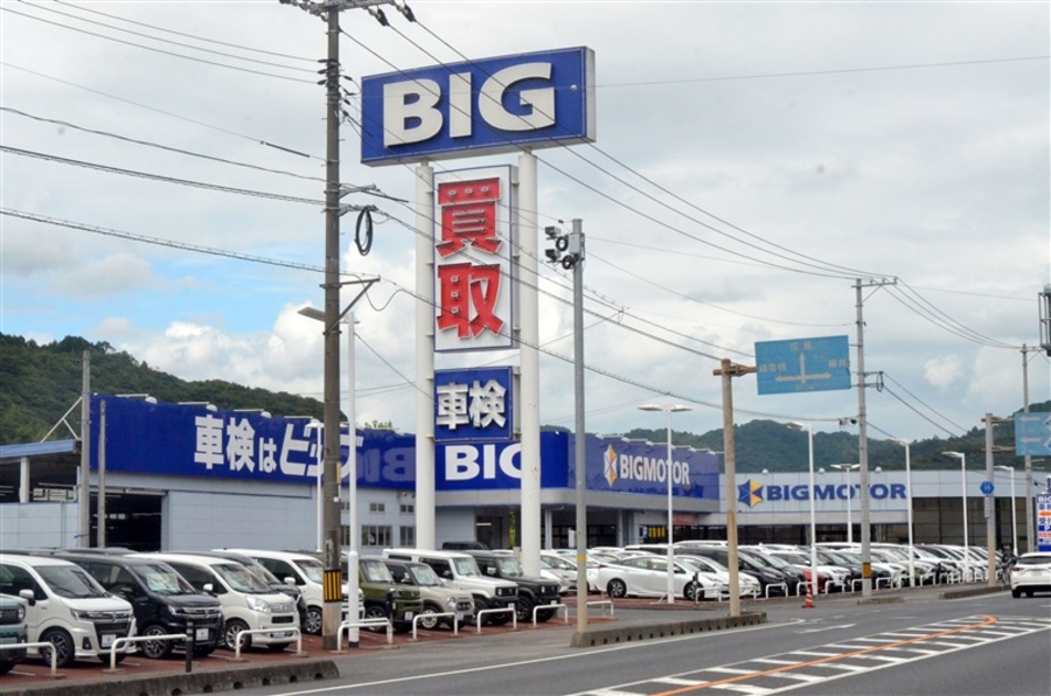 雑草がすごく、見栄えが悪かった」 ビッグモーターが除草剤使用を認める 東京や埼玉で店舗前の街路樹に異常：東京新聞デジタル