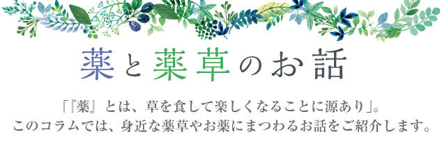 都市通病 便秘剋星——超級食物「洋車前子」 如何食用可緩解便秘？活好的
