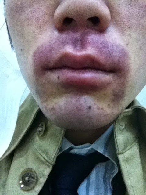 オンライン譲渡会でひとめぼれ 私をダッシュで帰宅させる、泥棒ヒゲの猫「犬や猫ともっと幸せに」をコンセプトにしたWEBメディア「sippo」