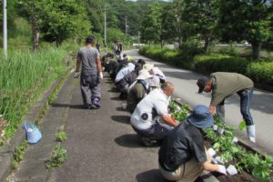 代表筆跡鑑定人 プロフィール | 筆跡鑑定の日本筆跡心理学協会