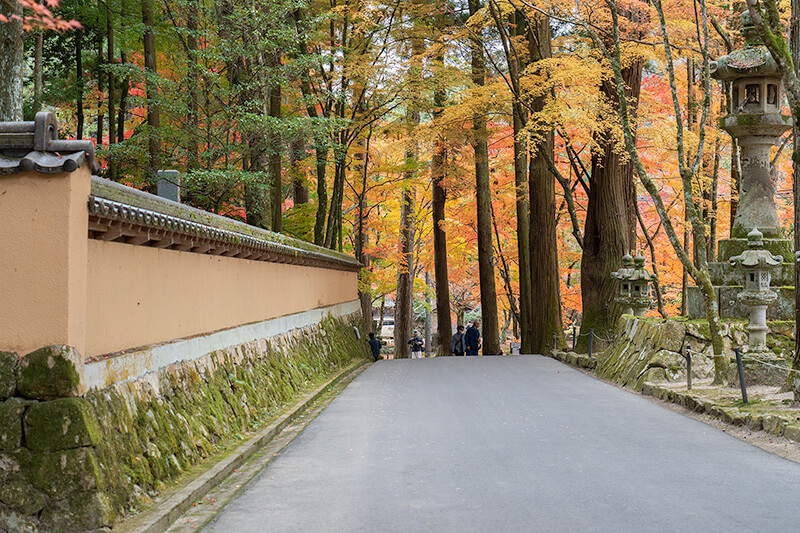 佛通寺の紅葉見頃・天気情報 2025 - 日本気象協会 tenki.jp