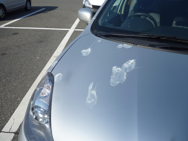 経年劣化車の磨き仕上げ富山 カーコーティング・カーラッピング有限会社ユーザーメイトジャパン